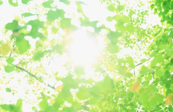 豊橋の障害年金申請代行の社労士事務所をお探しの方は「山内社会保険労務士事務所」までお問い合わせください